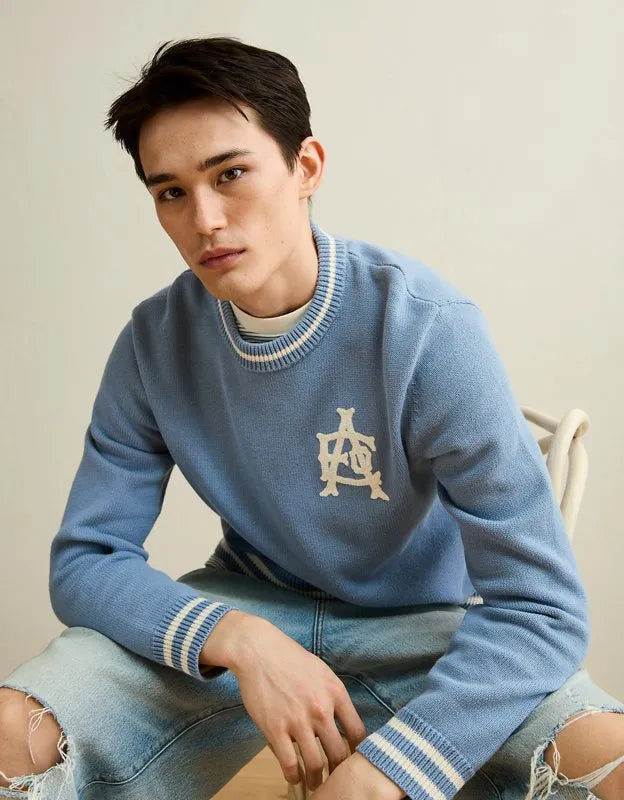 AE Graphic Crew Neck Sweater