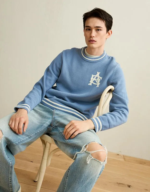 AE Graphic Crew Neck Sweater