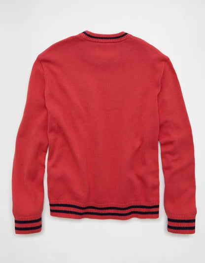 AE Graphic Crew Neck Sweater