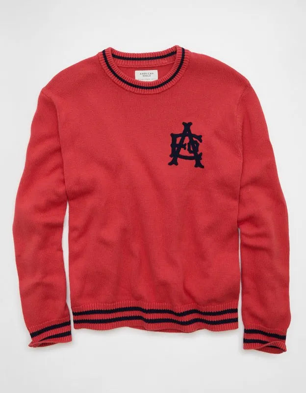 AE Graphic Crew Neck Sweater