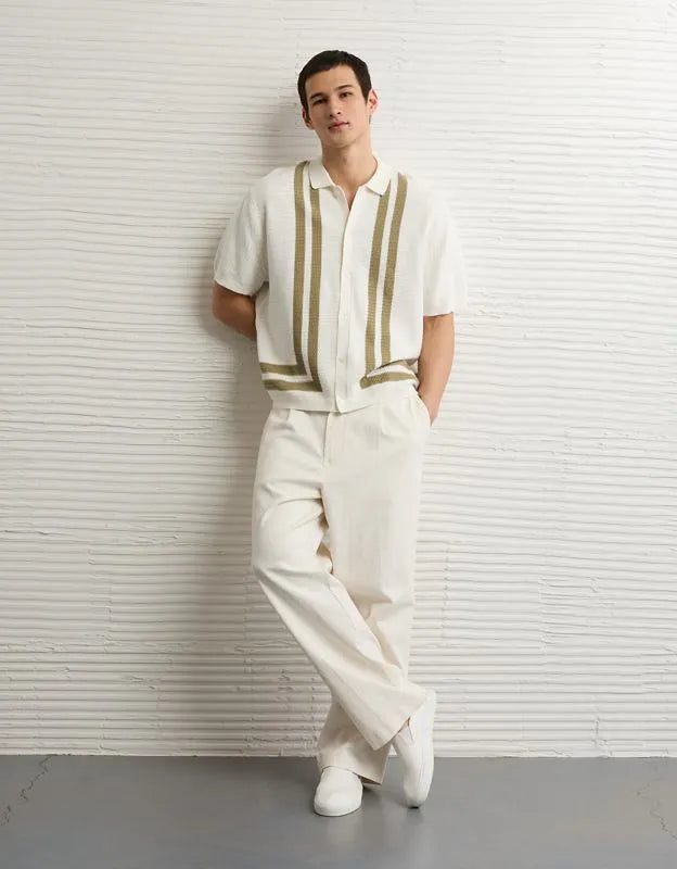 AE Striped Button-Up Sweater Polo