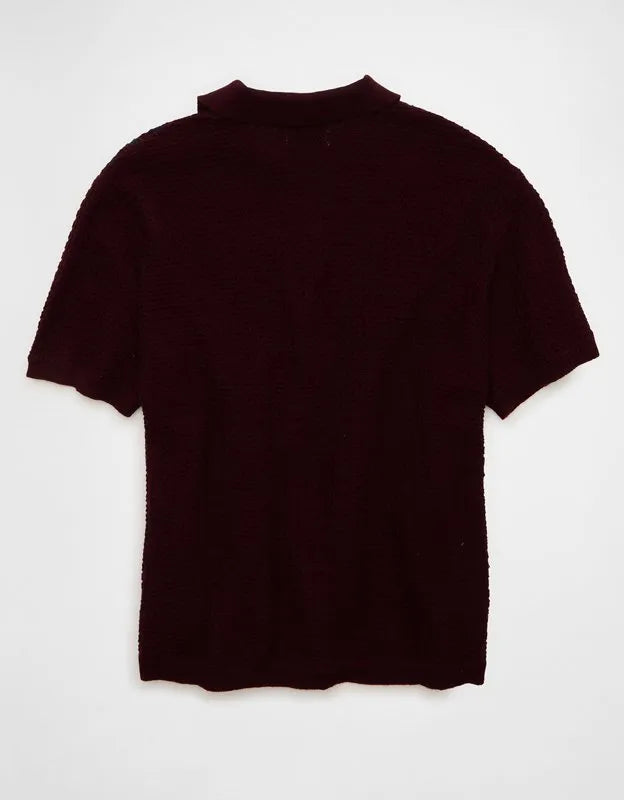 AE Striped Button-Up Sweater Polo