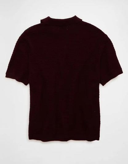 AE Striped Button-Up Sweater Polo