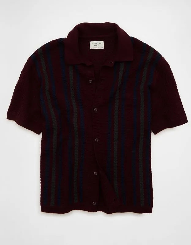 AE Striped Button-Up Sweater Polo