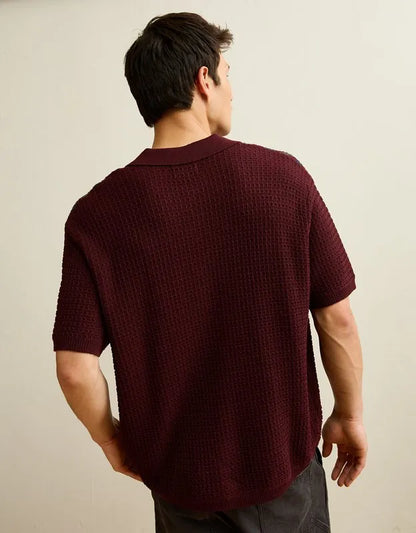 AE Striped Button-Up Sweater Polo