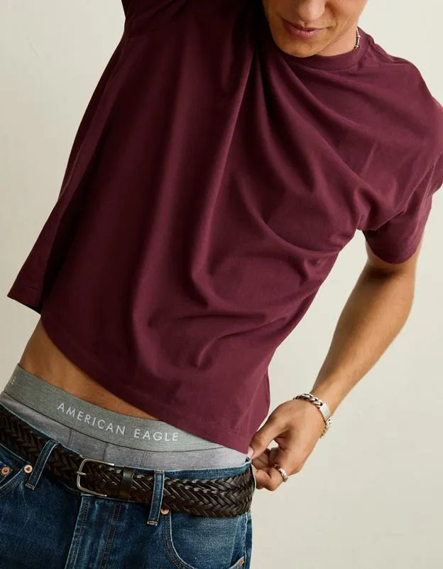AE Shrunken Fit Lived-In T-Shirt