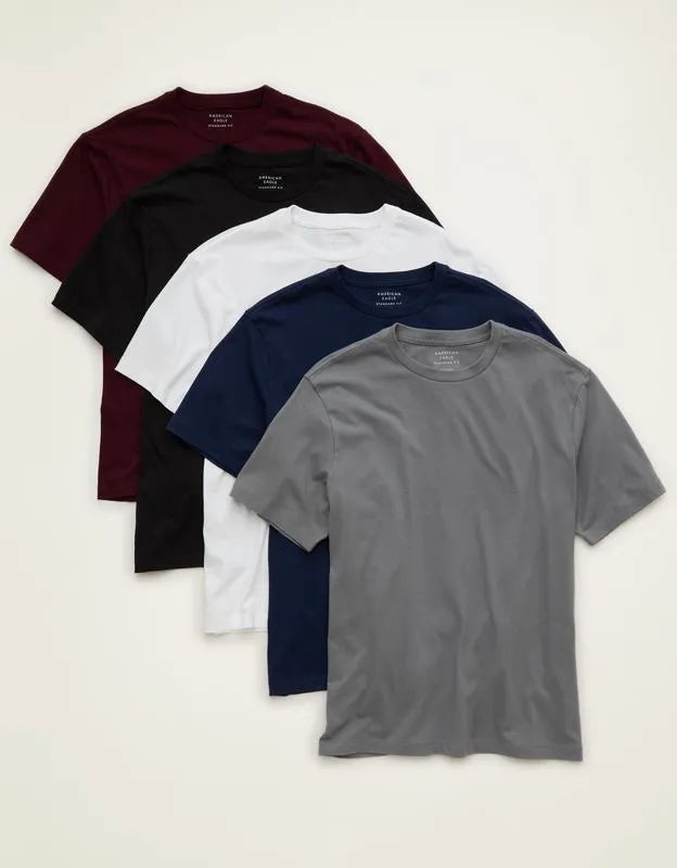 AE Standard Fit Lived-In T-Shirt 5-Pack