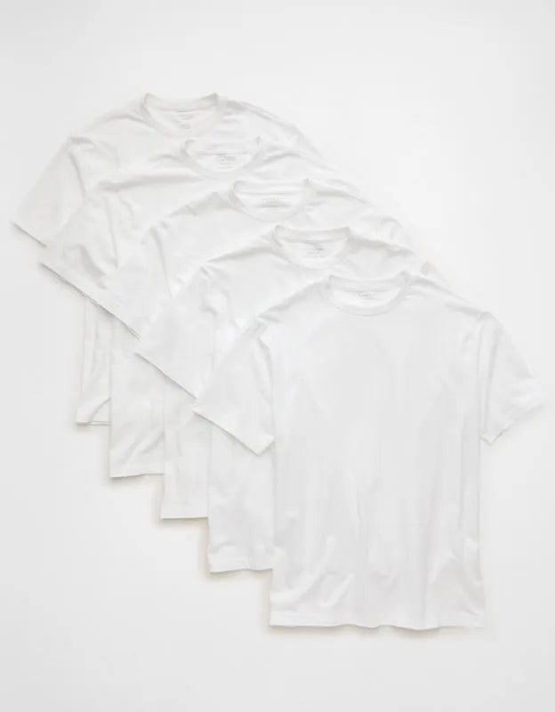 AE Standard Fit Lived-In T-Shirt 5-Pack