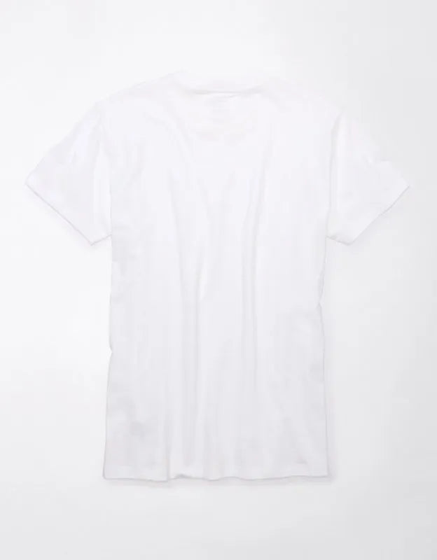 AE Lived-In Slim T-Shirt