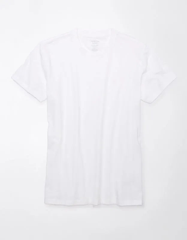 AE Lived-In Slim T-Shirt