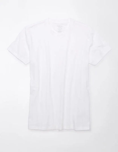 AE Lived-In Slim T-Shirt