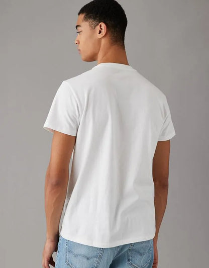 AE Lived-In Slim T-Shirt