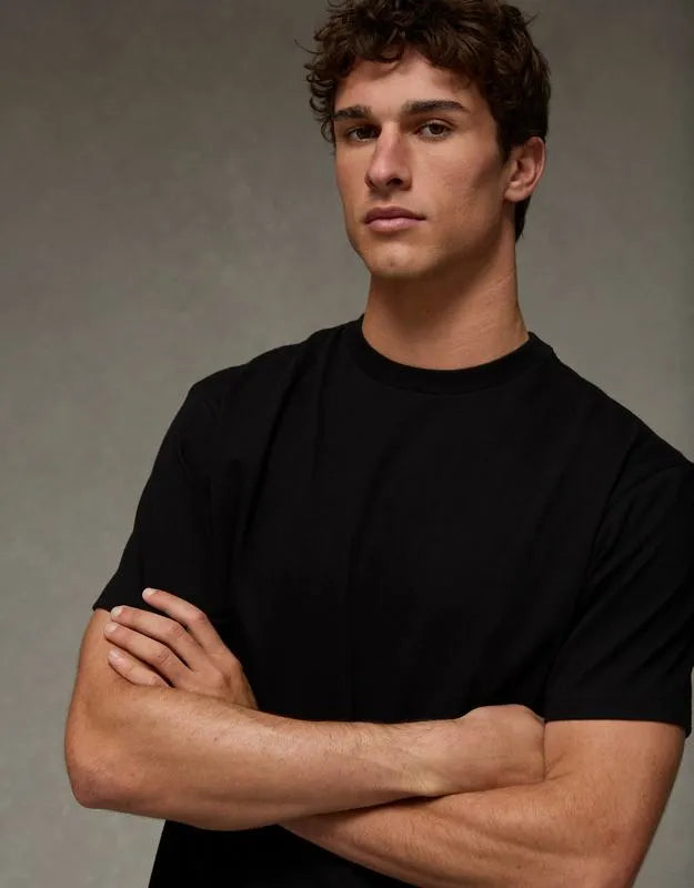 AE Standard Fit Lived-In T-Shirt