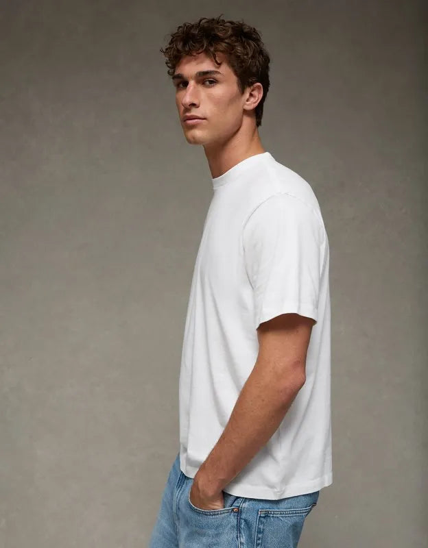 AE Standard Fit Lived-In T-Shirt