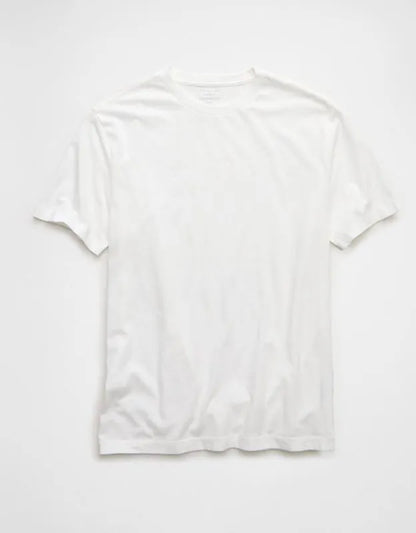 AE Standard Fit Lived-In T-Shirt
