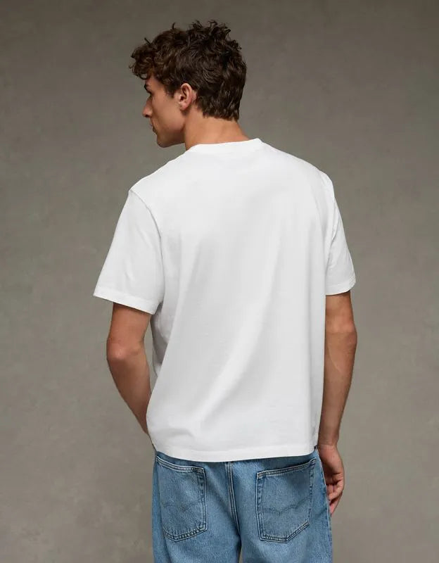 AE Standard Fit Lived-In T-Shirt