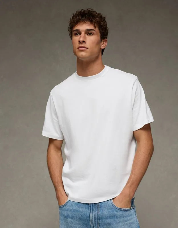 AE Standard Fit Lived-In T-Shirt