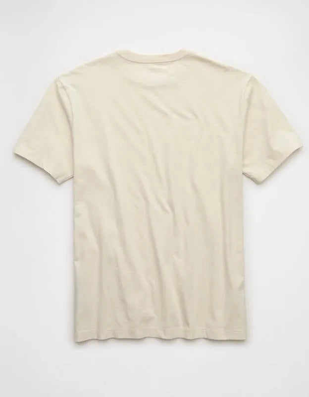 AE Standard Fit Lived-In T-Shirt