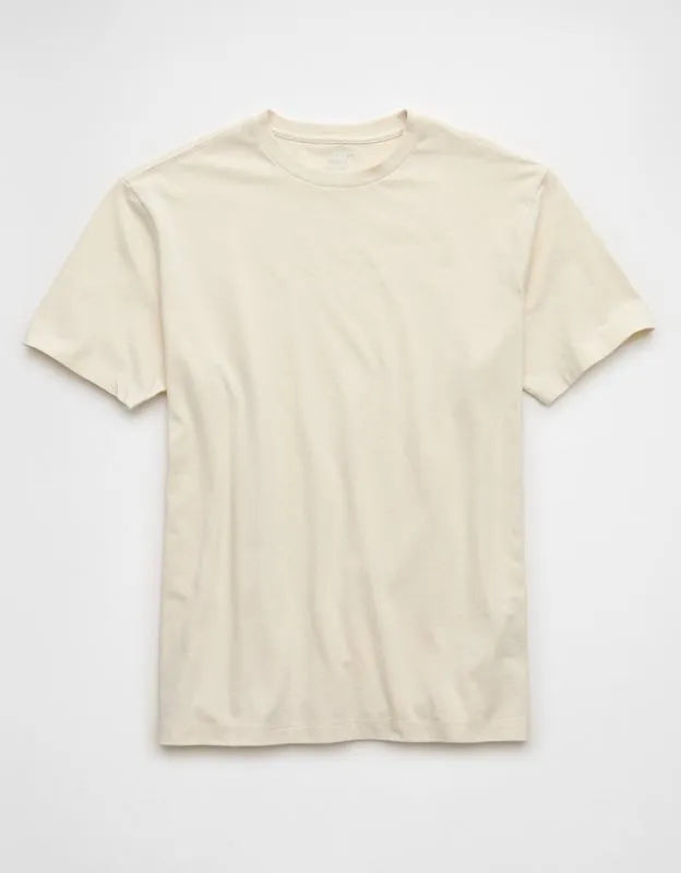 AE Standard Fit Lived-In T-Shirt