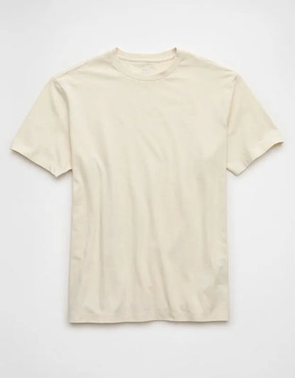AE Standard Fit Lived-In T-Shirt