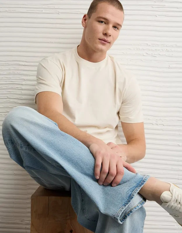 AE Standard Fit Lived-In T-Shirt