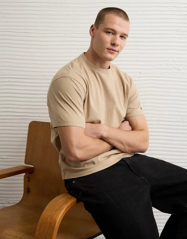 AE Standard Fit Lived-In T-Shirt