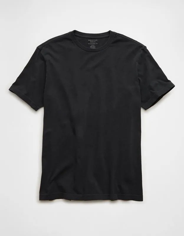 AE Standard Fit Lived-In T-Shirt