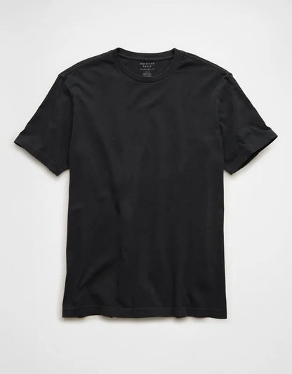 AE Standard Fit Lived-In T-Shirt