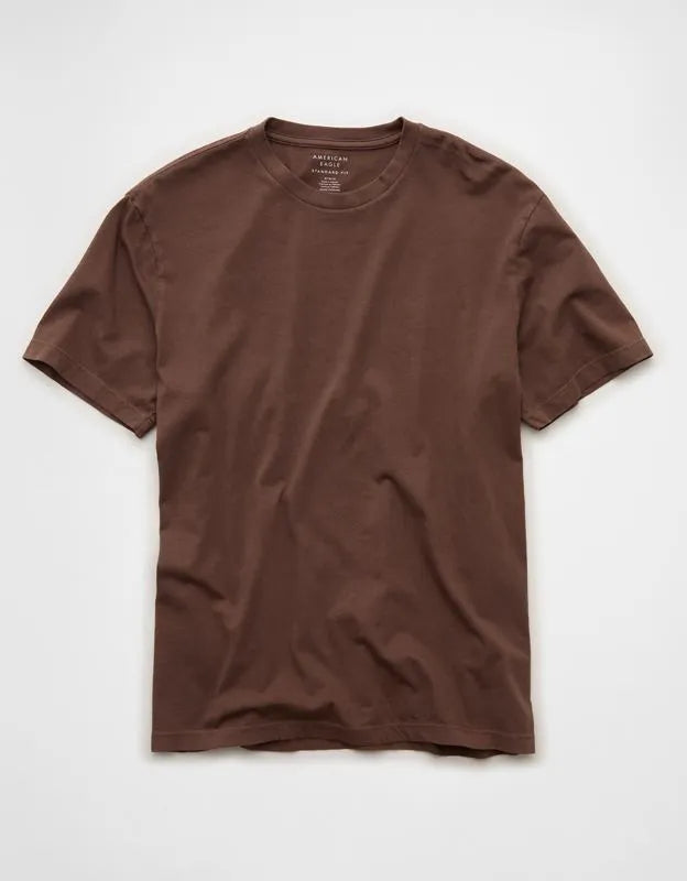 AE Standard Fit Lived-In T-Shirt