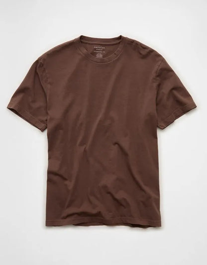 AE Standard Fit Lived-In T-Shirt