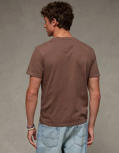 AE Standard Fit Lived-In T-Shirt
