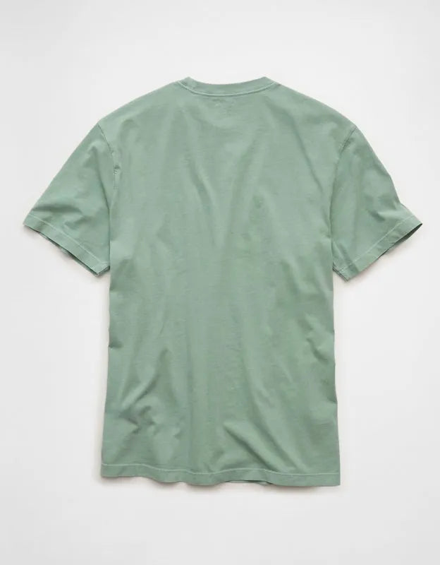 AE Standard Fit Lived-In T-Shirt