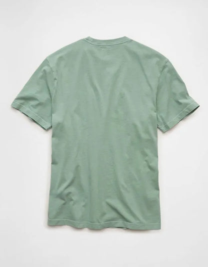 AE Standard Fit Lived-In T-Shirt