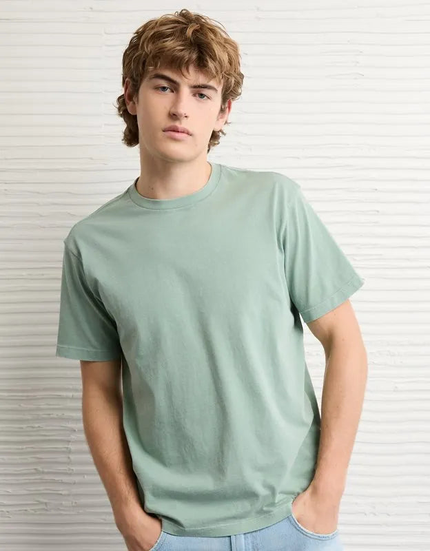 AE Standard Fit Lived-In T-Shirt