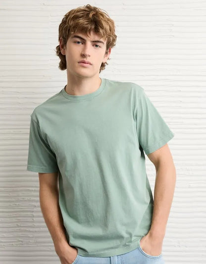 AE Standard Fit Lived-In T-Shirt