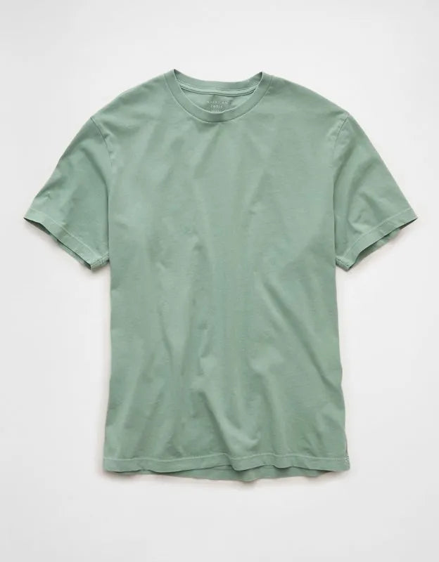 AE Standard Fit Lived-In T-Shirt