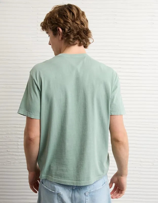 AE Standard Fit Lived-In T-Shirt