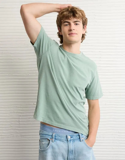 AE Standard Fit Lived-In T-Shirt