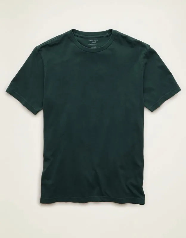 AE Standard Fit Lived-In T-Shirt
