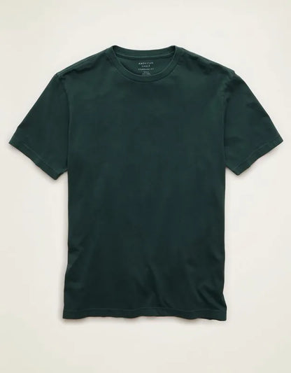 AE Standard Fit Lived-In T-Shirt