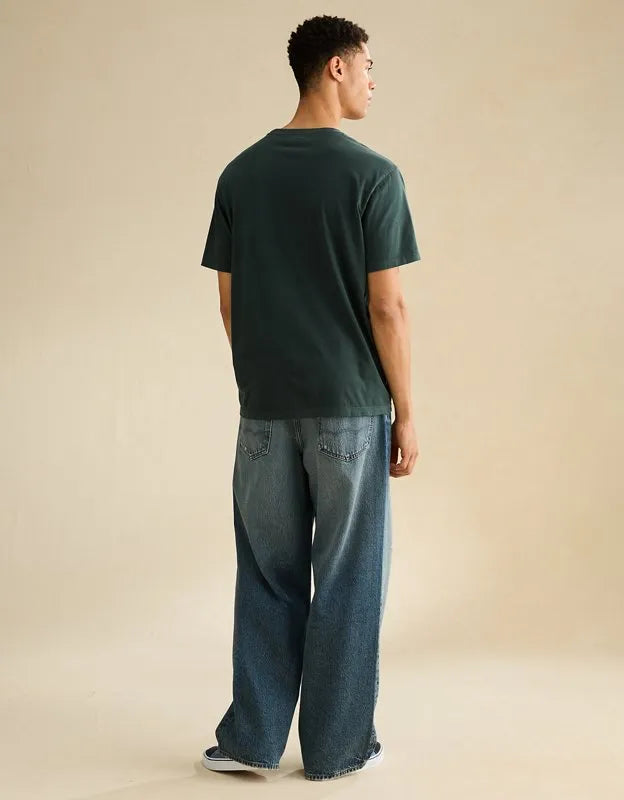 AE Standard Fit Lived-In T-Shirt