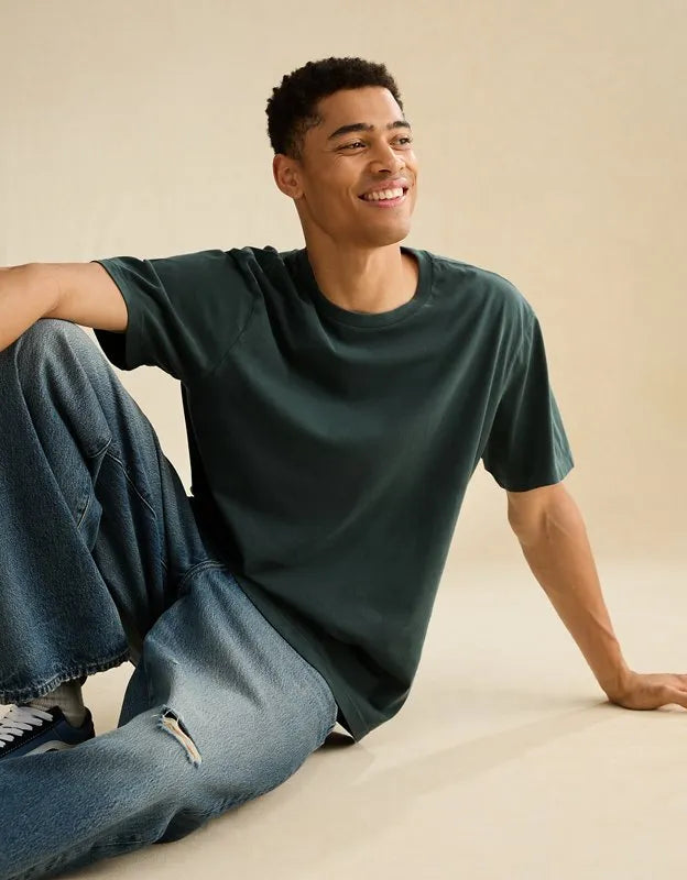 AE Standard Fit Lived-In T-Shirt
