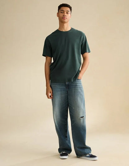 AE Standard Fit Lived-In T-Shirt