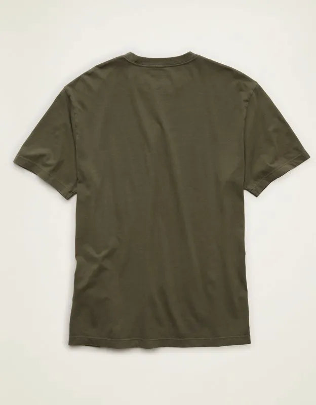 AE Standard Fit Lived-In T-Shirt