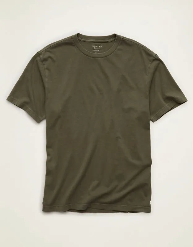 AE Standard Fit Lived-In T-Shirt