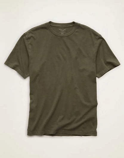 AE Standard Fit Lived-In T-Shirt