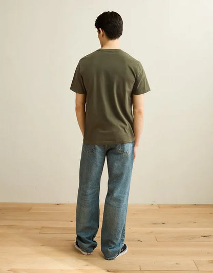 AE Standard Fit Lived-In T-Shirt