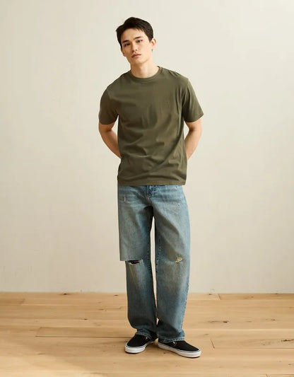 AE Standard Fit Lived-In T-Shirt