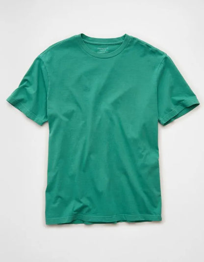 AE Standard Fit Lived-In T-Shirt