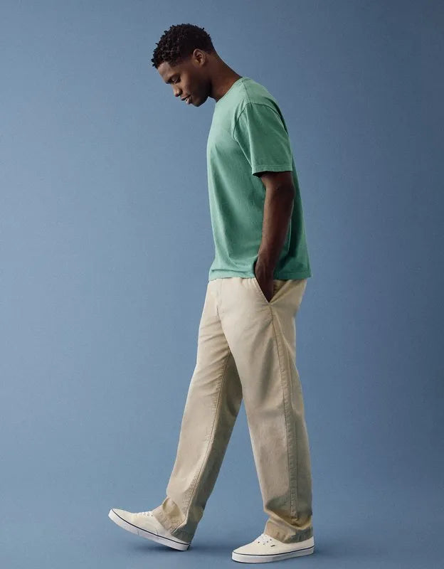 AE Standard Fit Lived-In T-Shirt